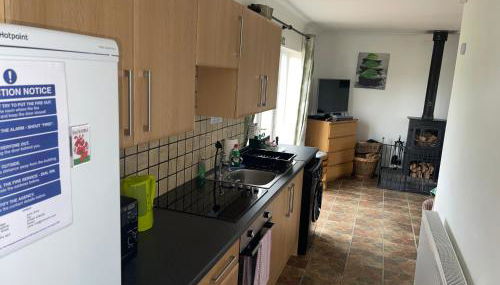 Blackthorn Meadow - Photo 3, stove