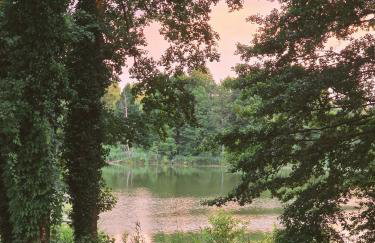 RZĄDCÓWKA Rogi - Foto 14