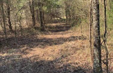 Caddo Cabin on Collier Creek - Foto 20