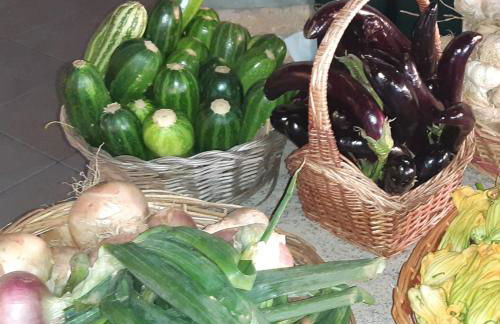 Agriturismo Gli Antichi Sapori - con stazione di ricarica veicoli elettrici - Foto 41