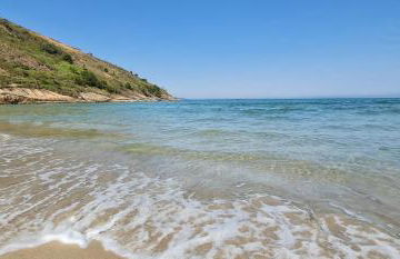 Will Container Experience - Foto 25