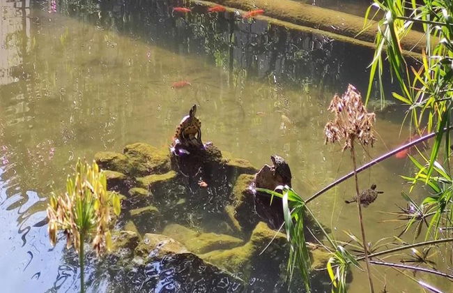 Peaceful Chalet Escape - Photo 24