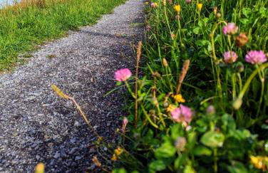 Ferienwohnung BergOase mit Pool & Sauna - Foto 48