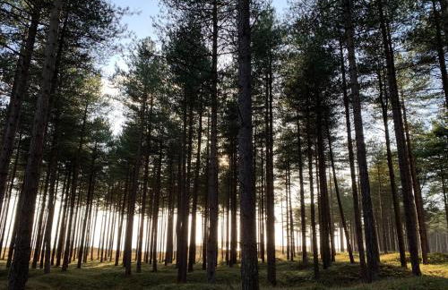 Pen Braint - Foto 24