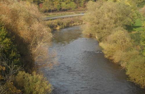 Dach-Studio-Runkel Schadecker Straße 6 - Photo 15