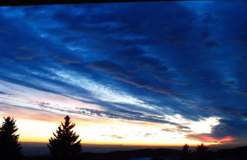 Komfortable Wohnungen und Studio in Sankt Englmar - Foto 62