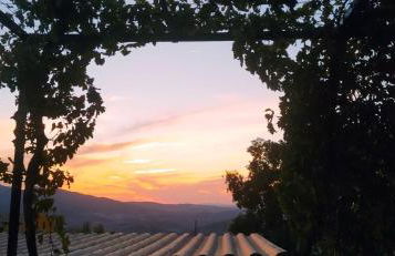 Villa Boreal - Foto 33