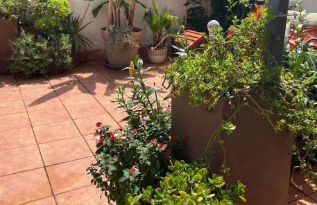 Figueres Center - Foto 35