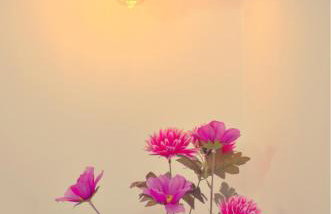 Mastiha Villas - Foto 46