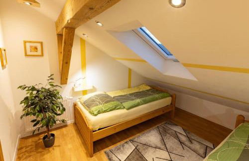 FeWo Froschkönig mit Sauna & Bergblick, Self-Check-in, WLAN, Parkplatz, zentrumsnah - Foto 9