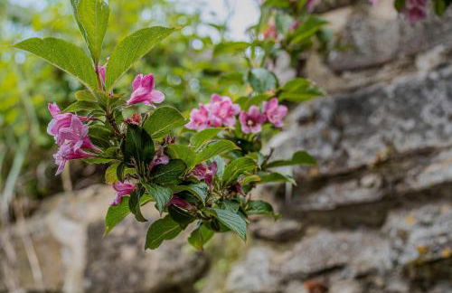 Mary's House - Photo 61