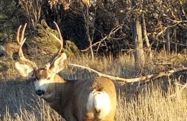 West Denver Home 8 Beds! Game Room - Foto 5