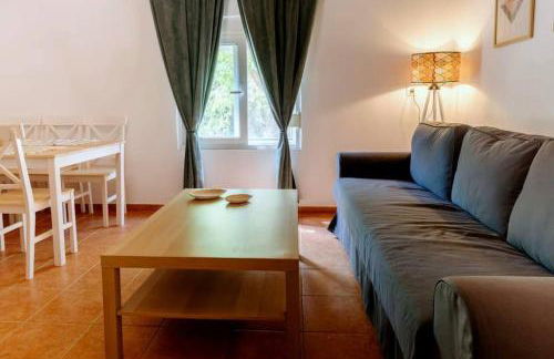 Solace Homie - Foto 2