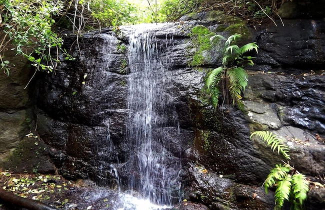 Riverbend Byron Hinterland Retreat - Foto 20