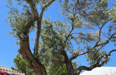 Quinta Castor - Foto 63