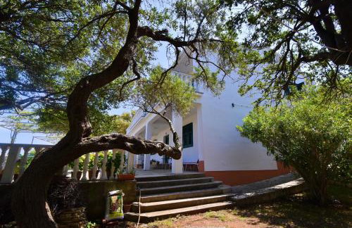 Apartmani Badurina - Maslina - Photo 11