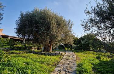 Villa del Carrubo a due passi dal mare di Cefalù - Foto 46