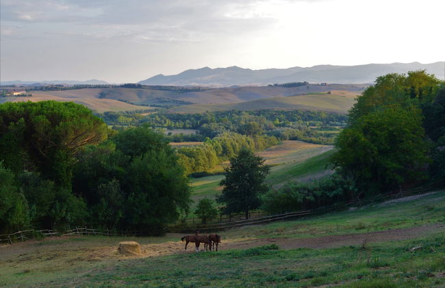 Tenuta I Mandorli - Foto 35