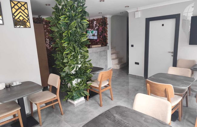 MOONLIGHT - Photo 13