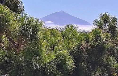 ZenRepublic, your private villa with outdoor jacuzzi & pool with stunning ocean views - Foto 37