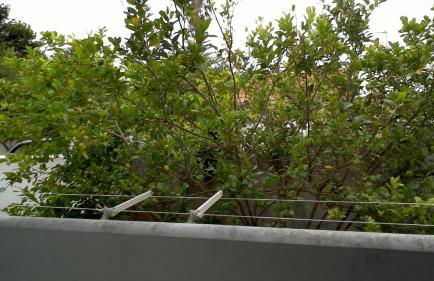 Villetta Silvana tra mare e pineta self check in dopo le 20 - Foto 26