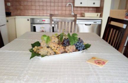 Grand Vista - Photo 7