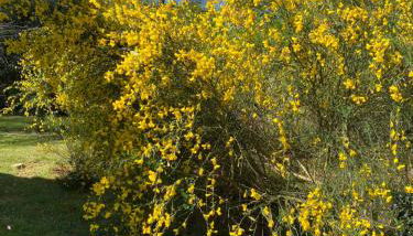 Entre Bordeaux et l'océan - Foto 4