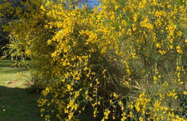 Entre Bordeaux et l'océan - Foto 4