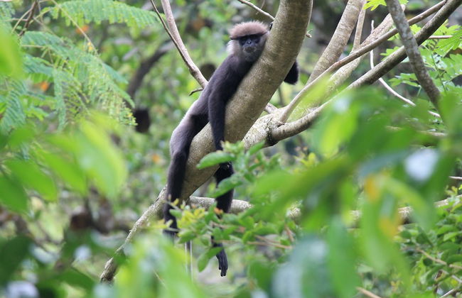 The Country House - Foto 28