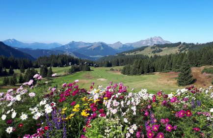 Le Mazot - Avoriaz- séjours du dimanche au dimanche - Photo 31