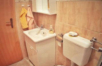 Ruzicin dvor - Photo 55