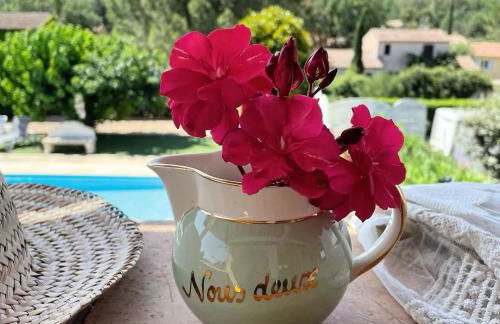 Villa charmante à Tourrettes avec piscine privée - Foto 33