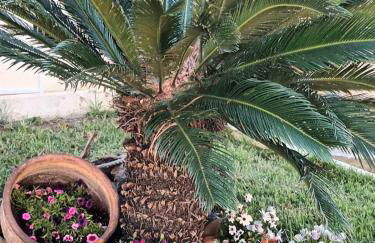 Nikolas home - Foto 13