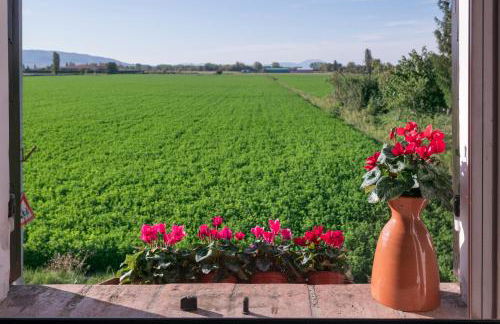 La Casa di Smilla - (Bevagna) - Photo 14