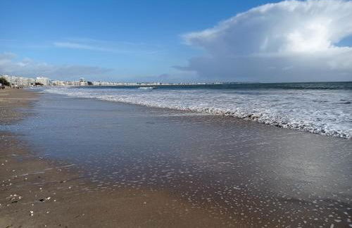 Studio l'Oasis - Terrasse Privative & Plage 10 min - Foto 27