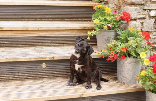 Pet-Friendly Logburner Horse Stable Views - Foto 4