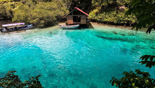 Isla Escudo de Veraguas Day Trip - Foto 2