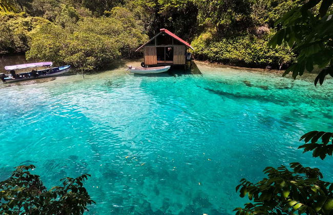 Excursión a Isla Escudo de Veraguas - Foto 1