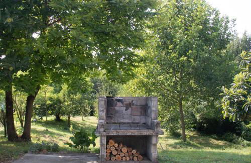 Al frutteto - Foto 47