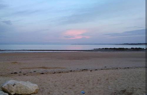 La maison du facteur - Foto 24