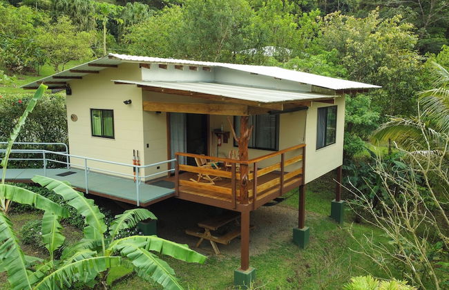 Aves de Tierras Altas - Foto 16