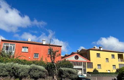 All Tenerife Near - Foto 16