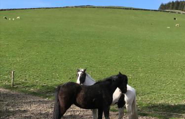 Winkston Holiday Accommodation Peebles - Foto 41