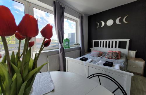 Apartamenty Parkowe nr 10 - Foto 3