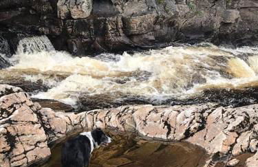 Rosemount Cottage TWO - Highland Cottage - Foto 47