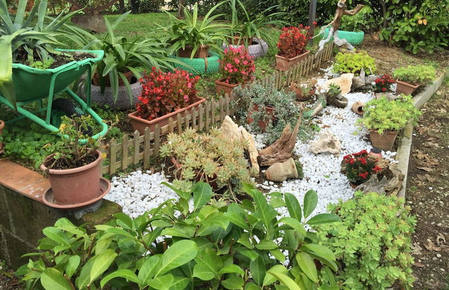 B&B Maremma Nel Tufo - Foto 79