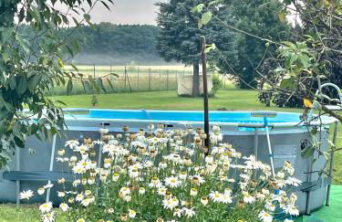 Hof zum alten Birnbaum - Foto 7