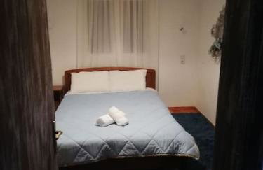 Παραδοσιακο σπιτι με εσωτερικο τζακι - Foto 15