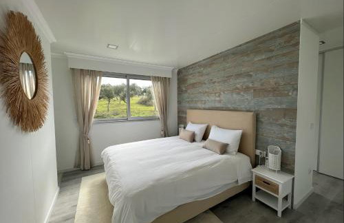 Herdade Terra rica - Photo 57
