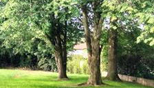 Maison familiale au calme - Foto 4, Garden